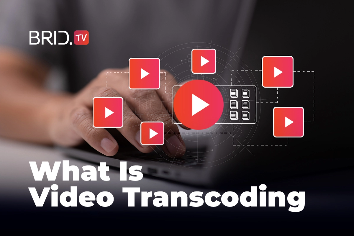 What Is Video Transcoding: All You Need to Know