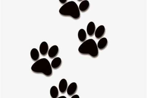 Paw Print PNG ImageCreative Paw PrintsPaw ClipartAnimal Paw PrintsPaw PNG Image For Free Download