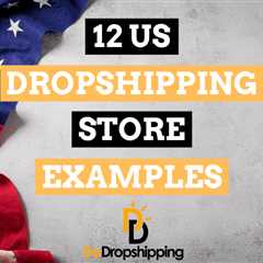 The 12 Best Dropshipping Store Examples in the US (2023)