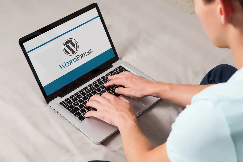 Side Hustle: Make Money Building Wordpress Websites For Clients