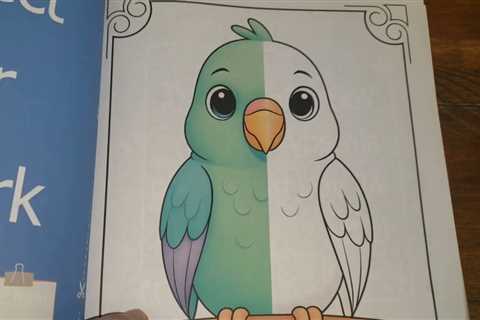 INTERACTIVE PAGES? Color The Missing Half Coloring Book Review Dementia Activities for Seniors